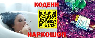 СК Бийск