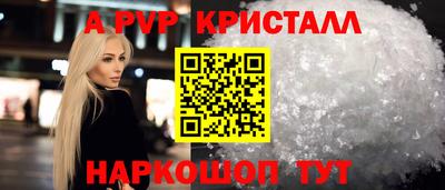 СК Бийск