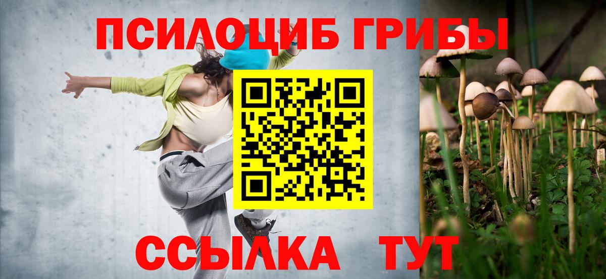 Псилоцибиновые грибы Psilocybe Киров